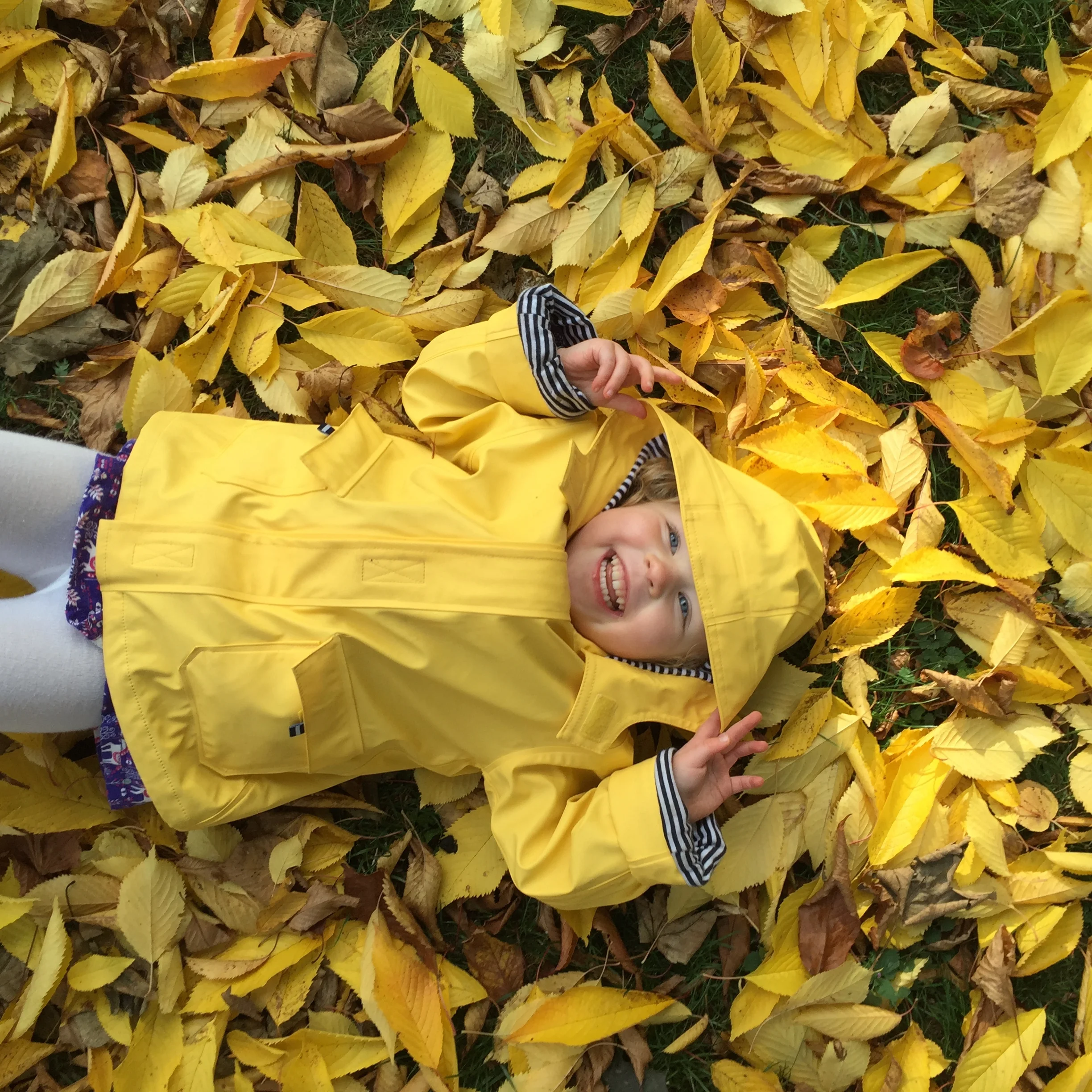 I'm a Blogger... Get me Out of here! : Trust your Intuition 