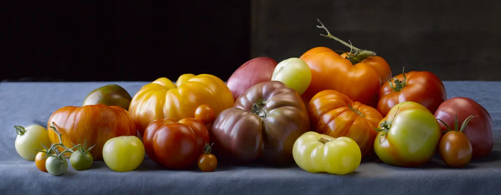tomatoes_00062.jpg