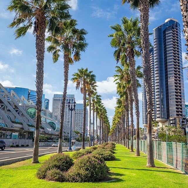 🌴We are blessed to be in America&rsquo;s Finest City. Happy Friday everyone!!