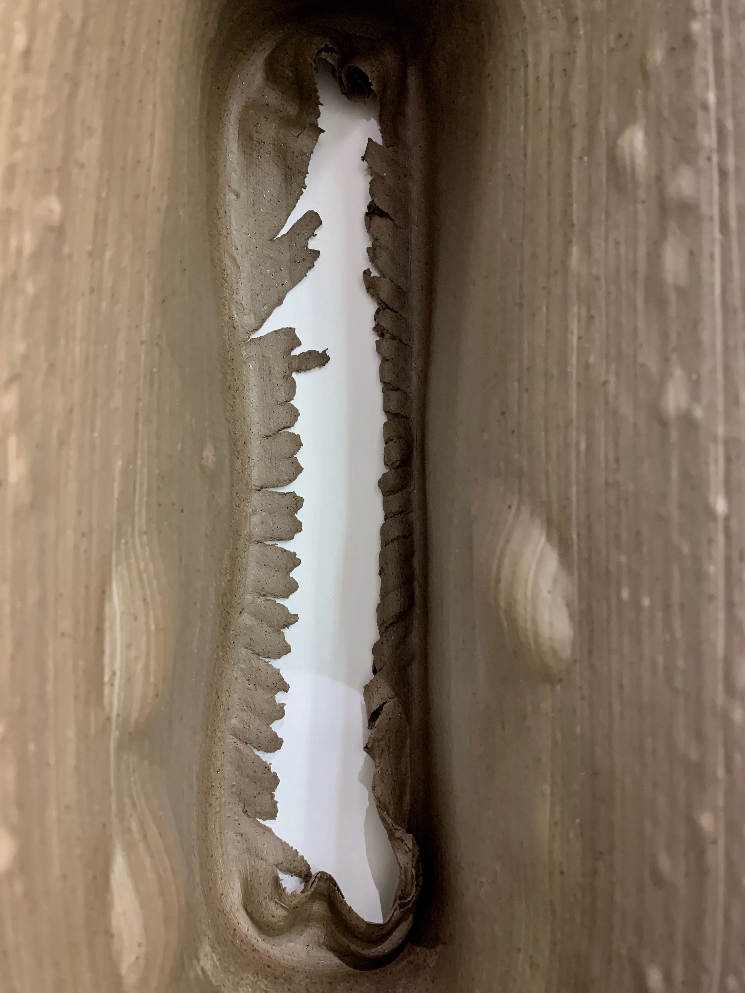 s.buttle A303 T (photo s.buttle 2019)15.jpeg