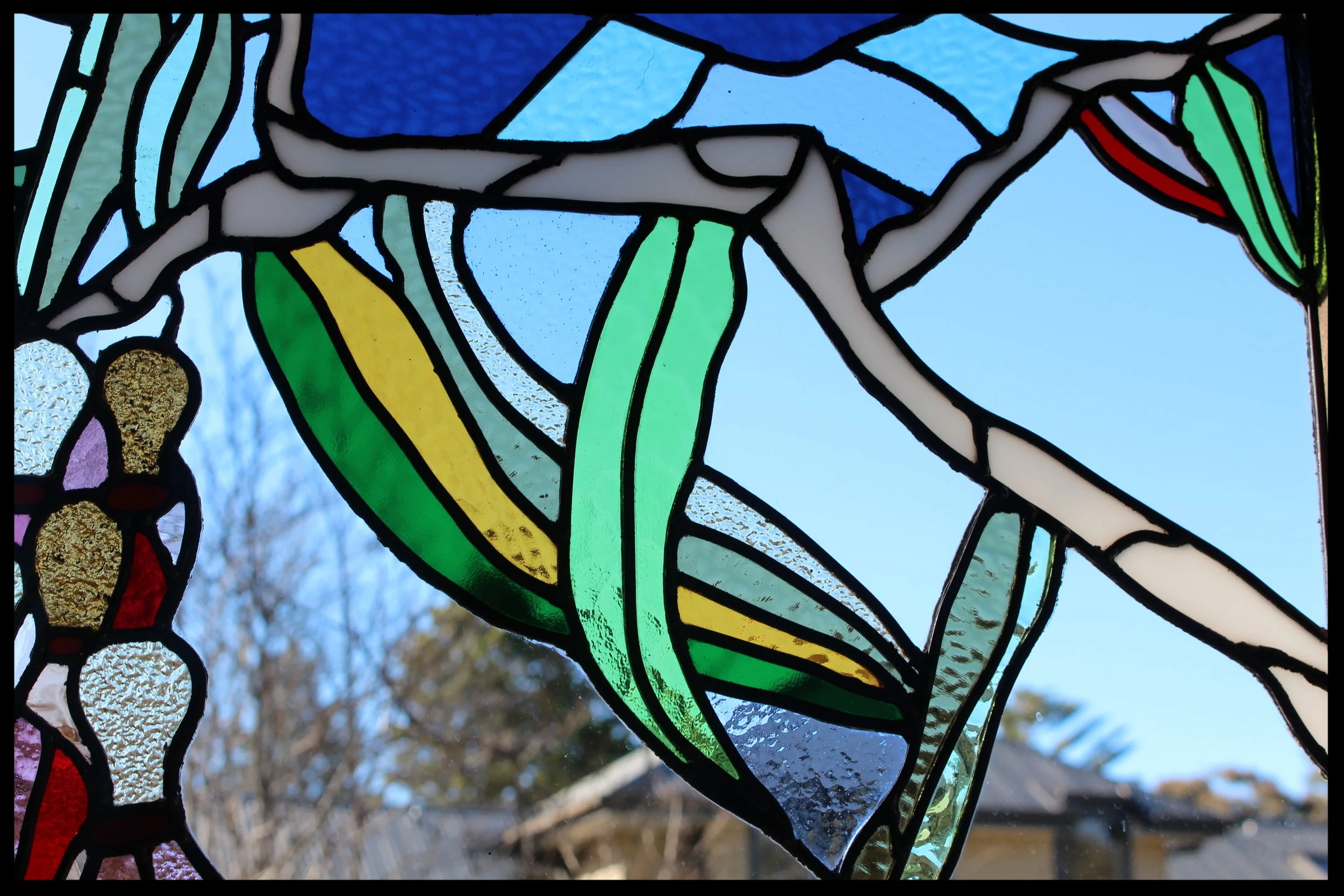 close up of "Wiggly branch"