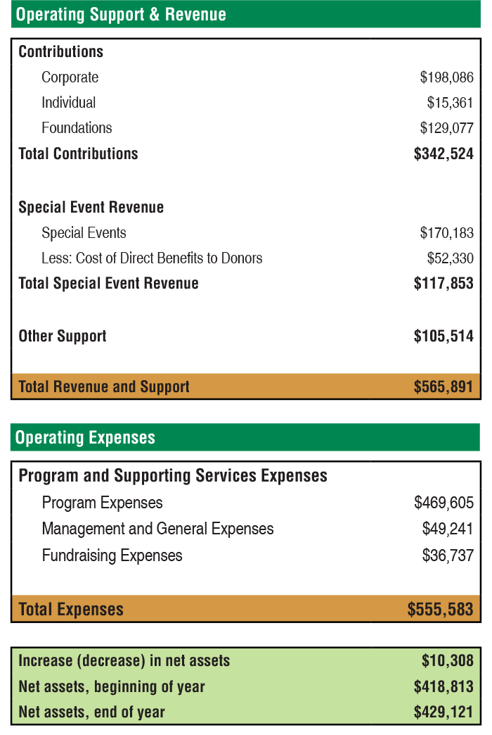 Financial Summary.png