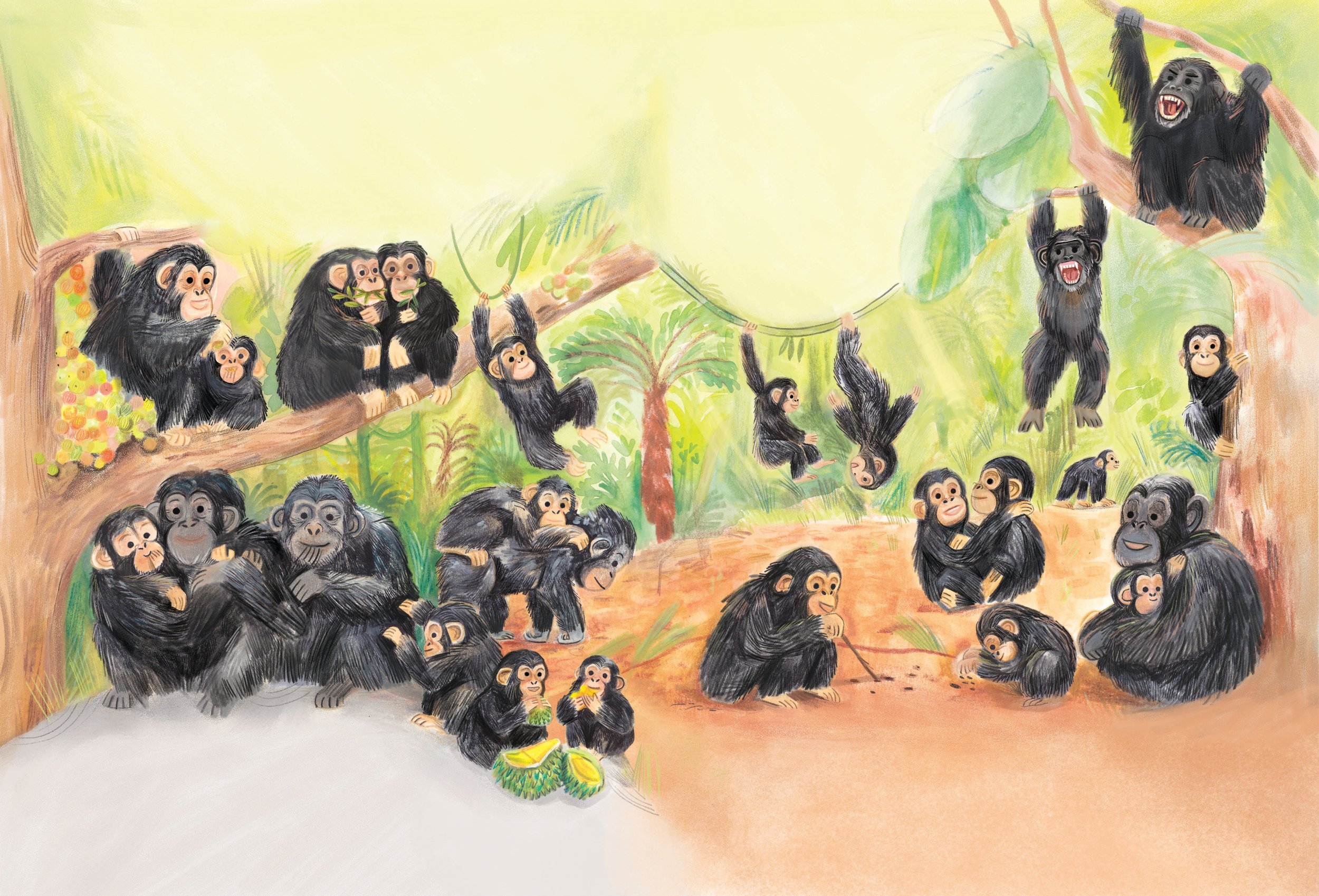 WorkPlay_Chimpanzeees.jpg