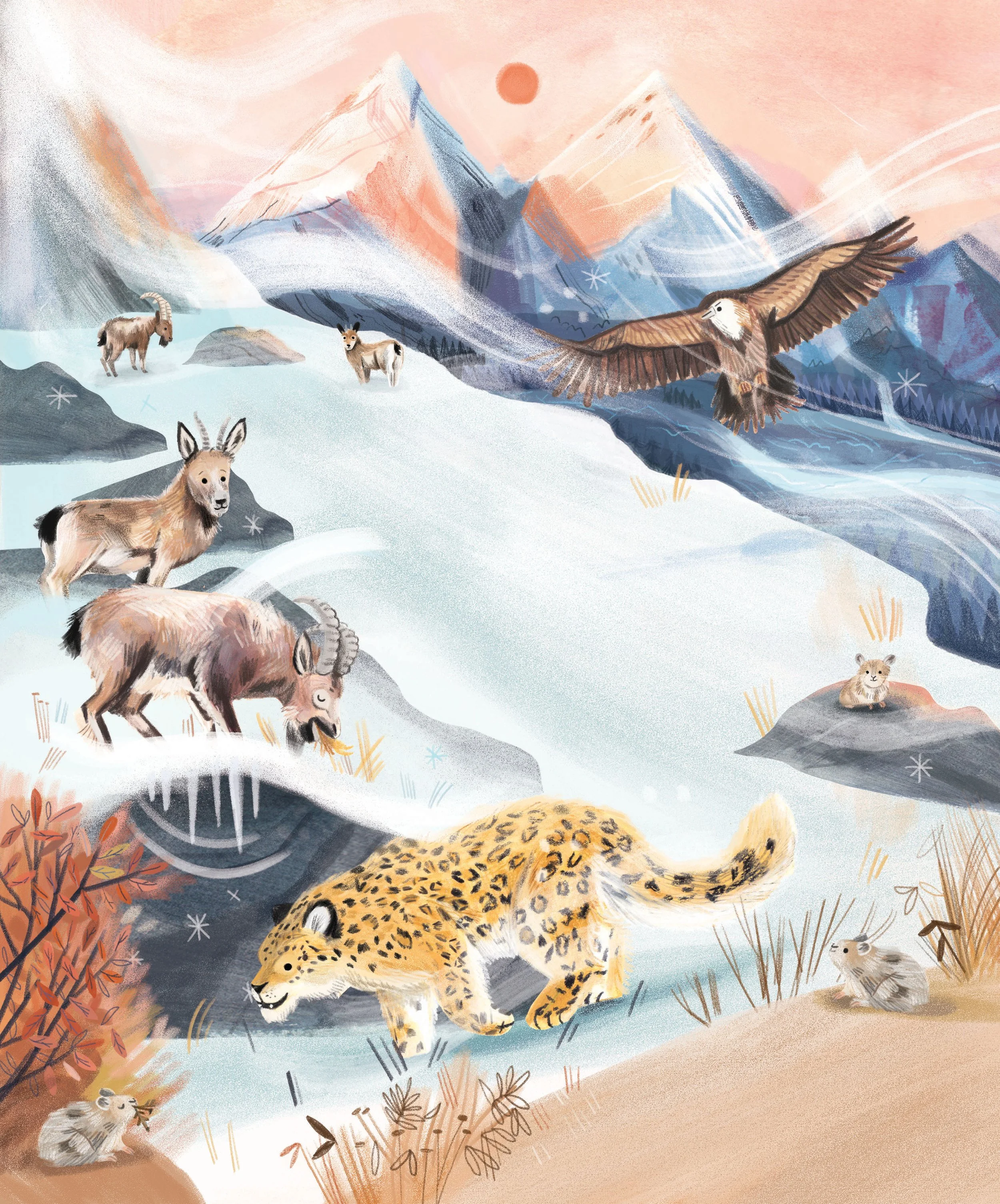 Wild_Cover.jpg