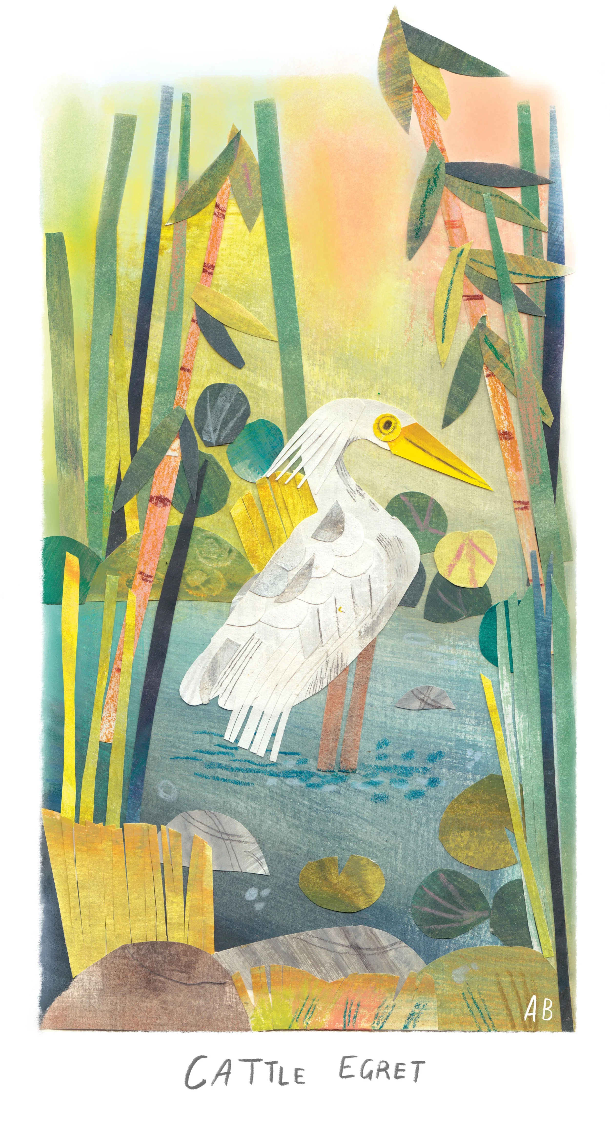 Cattle_Egret_Collage_WEB.jpg