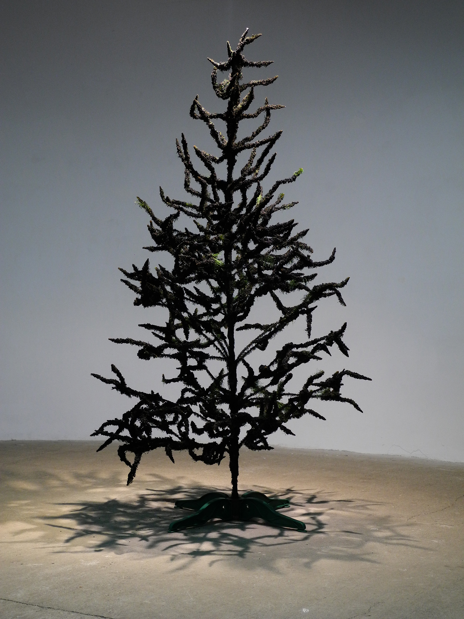  Burned plastic tree smells like fire of street conflicts.   Burned   2015, object.&nbsp;Plastic christmas tree 