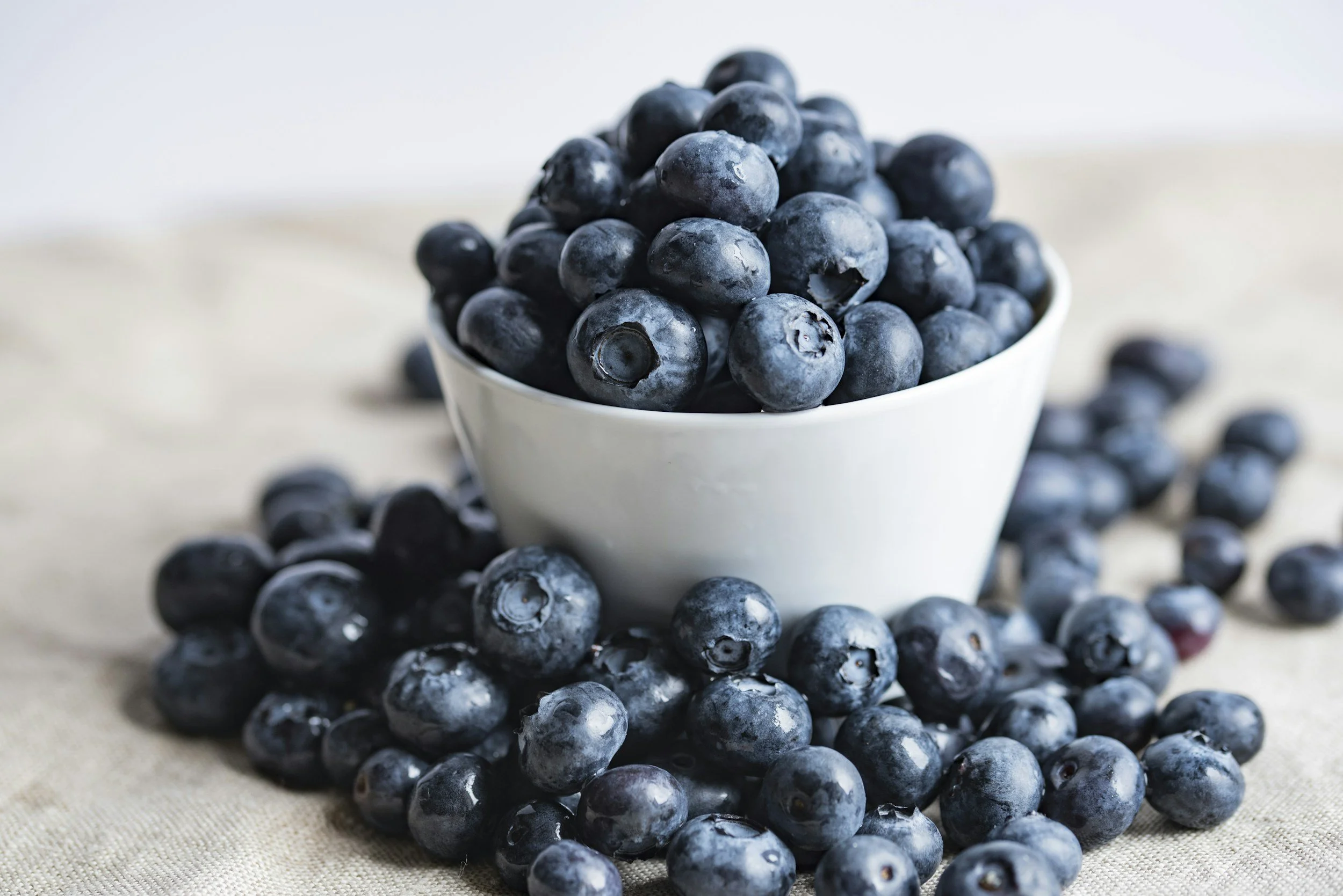 The Power of Blueberries