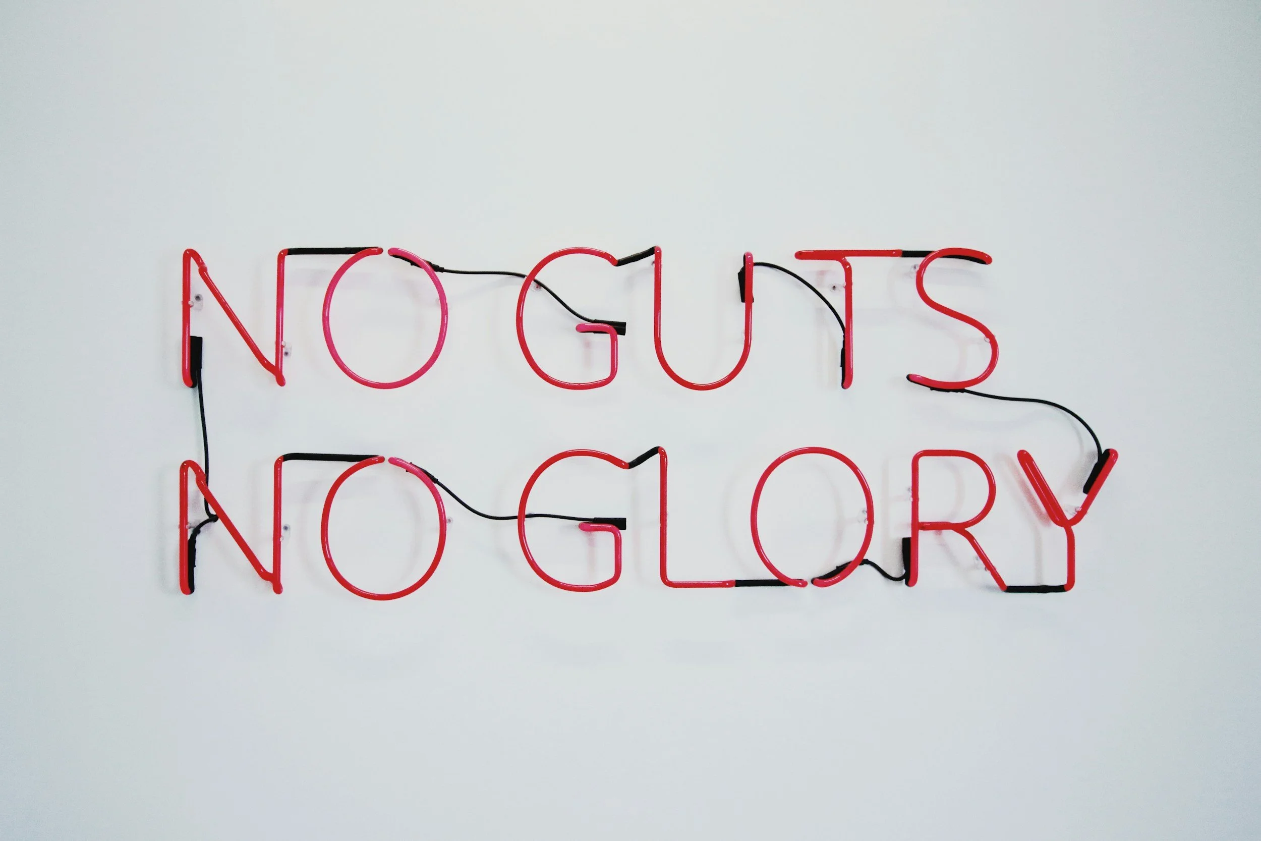 Why Your Gut Is the Command Center for Immunity
