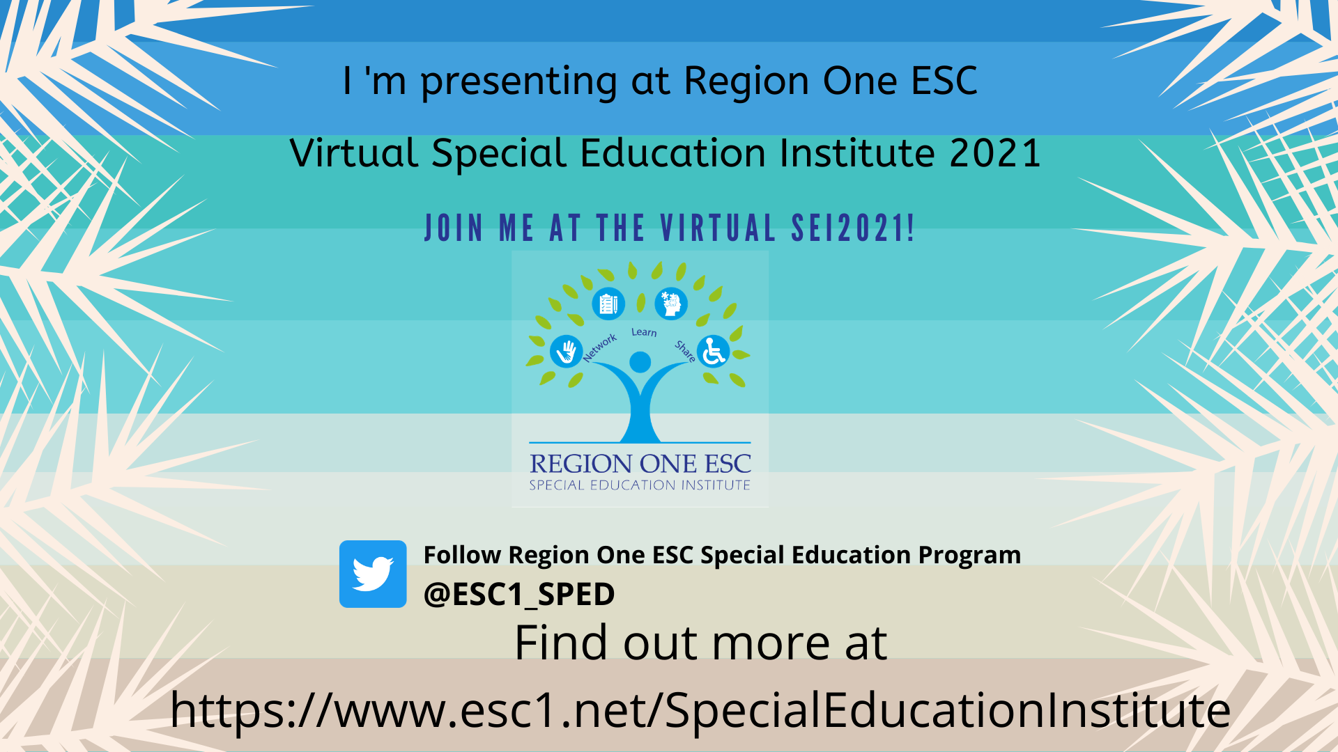 DJ Savarese - Presenting at the Region One ESC Virtual Special Education Institute 2021