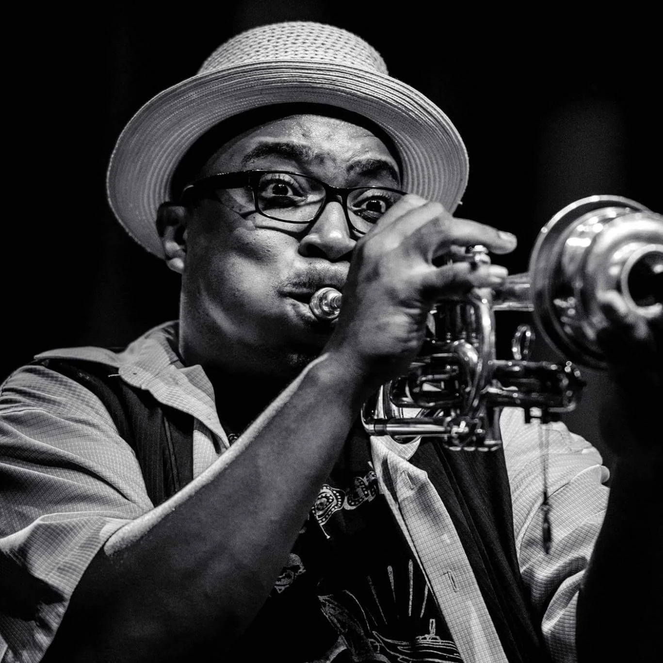 The New Orleans Catahoulas About The New Orleans Catahoulas