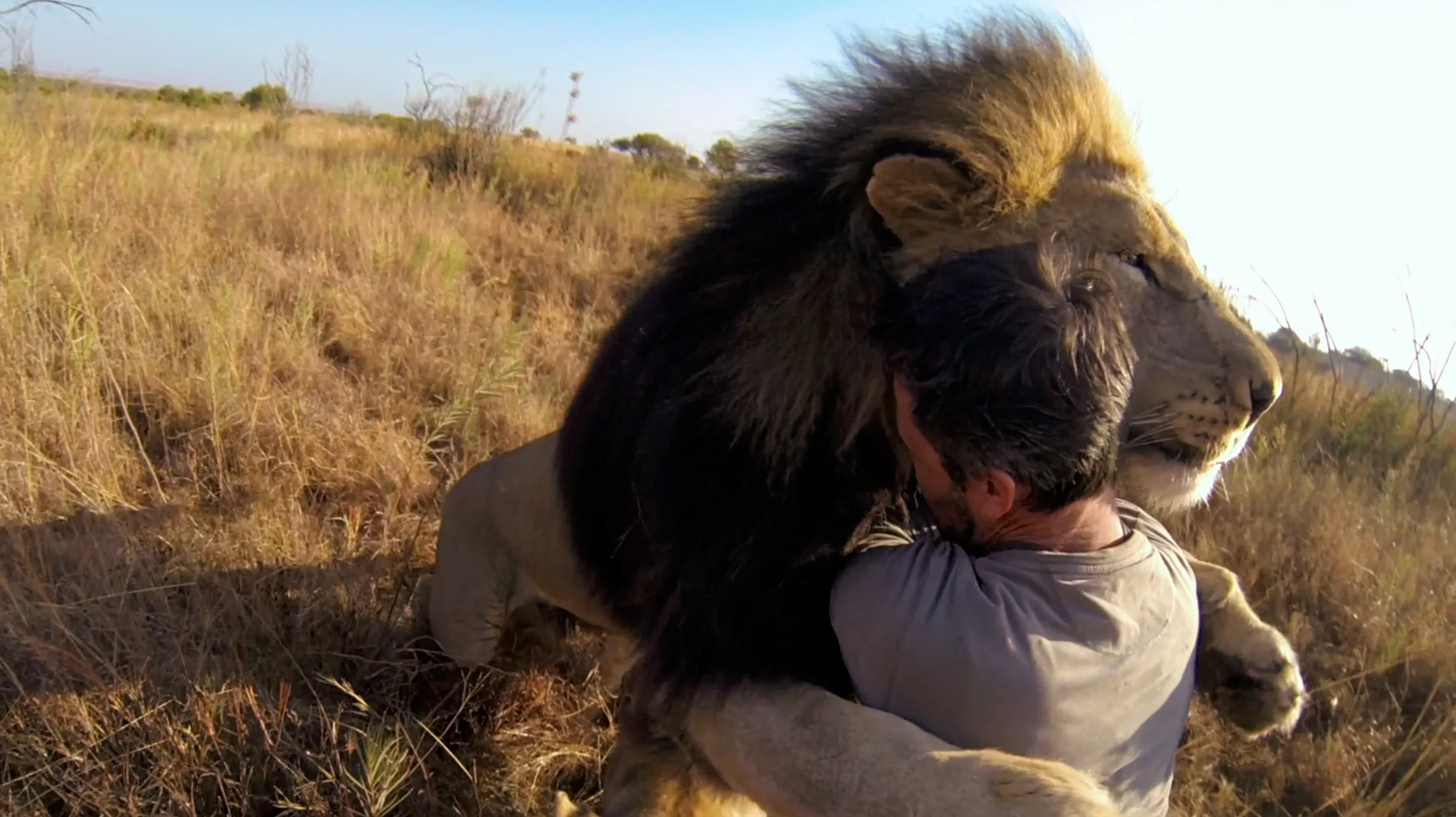 Screen Shot 2016-10-06 at 3.20.20 PM.png