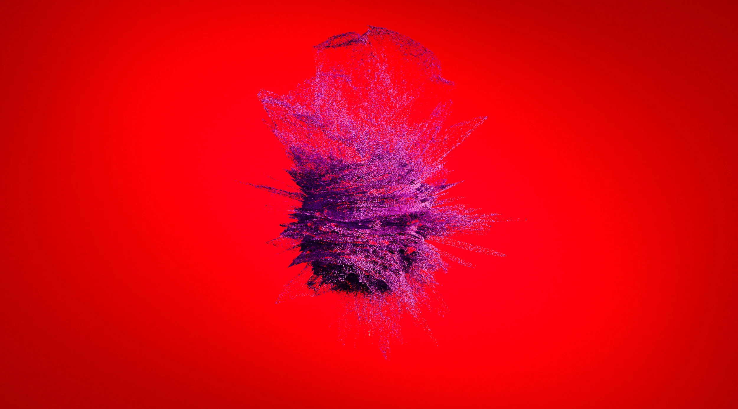 POWDER
