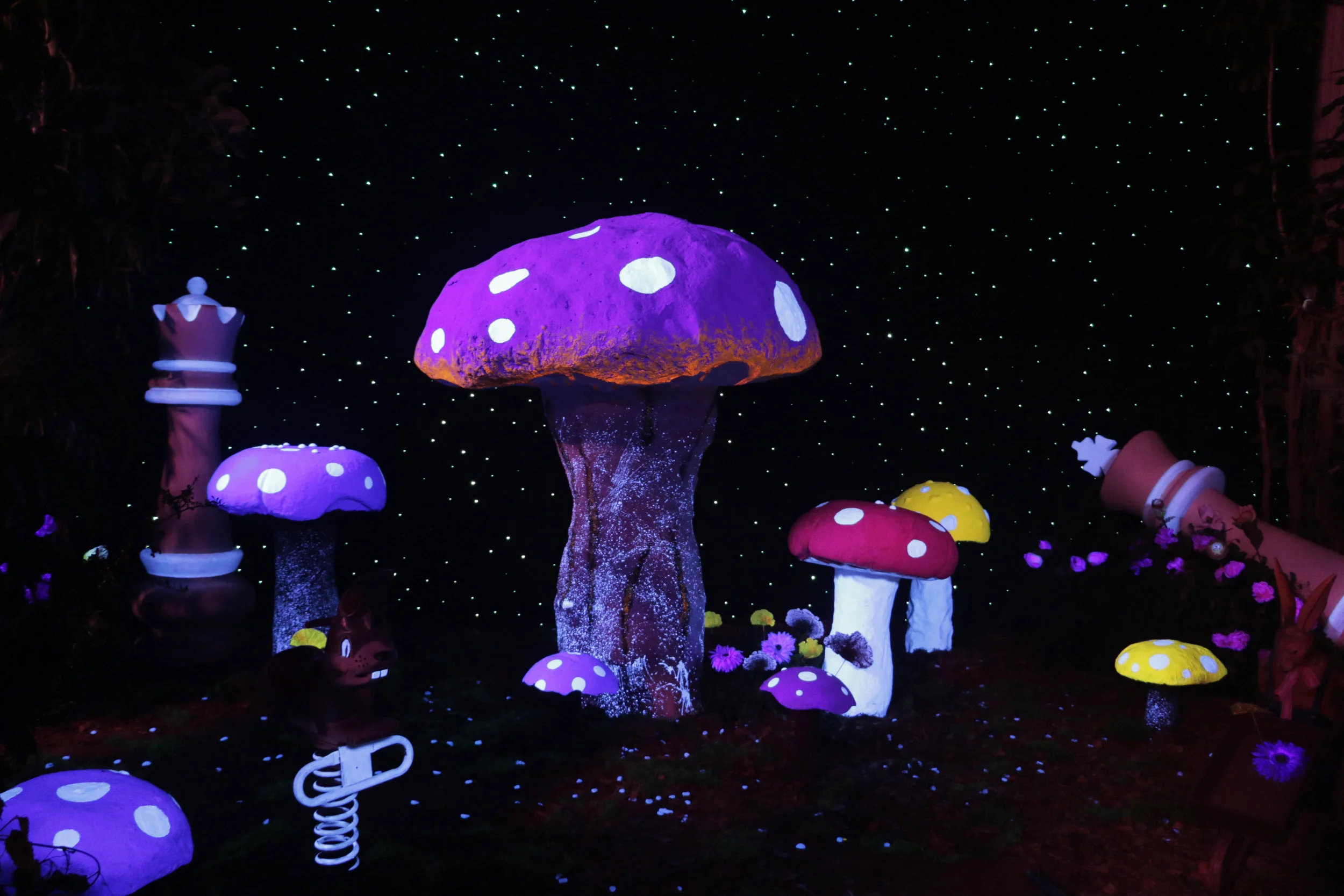 Kid Cudi Mushroom Set 1.jpg