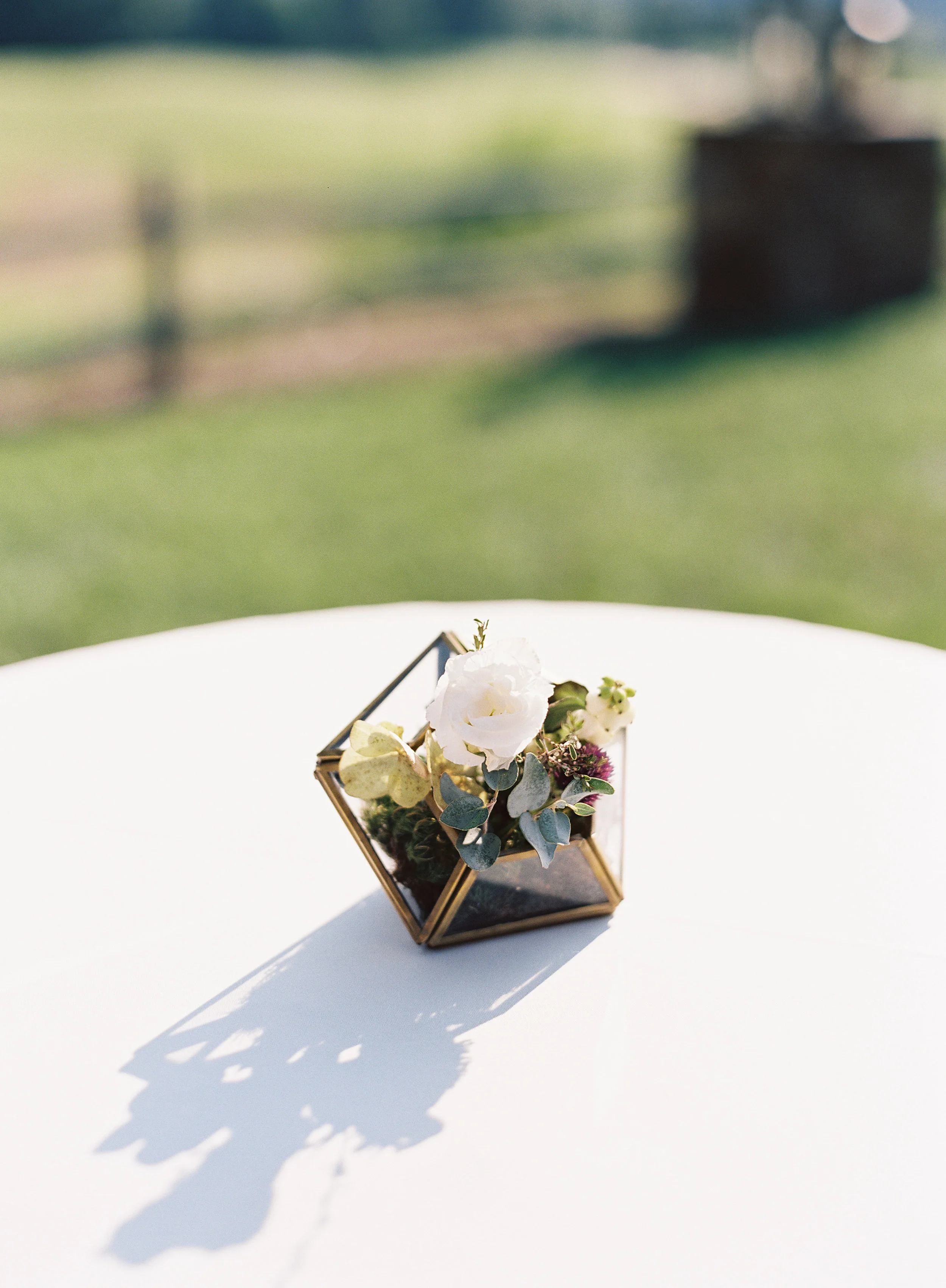 Small Gold Diamond Terrariums