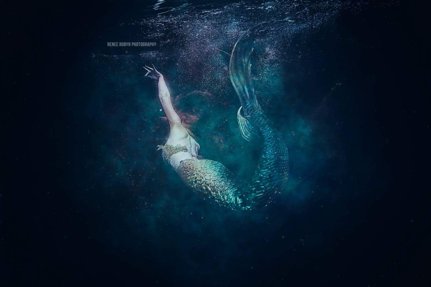 Catalina Mermaid Green Tail 2 by Renee Robyn Photography.JPG