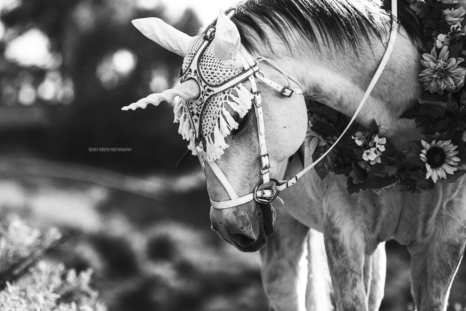 Renee Robyn - Black White Photo of Medieval Unicorn Editorial.jpeg