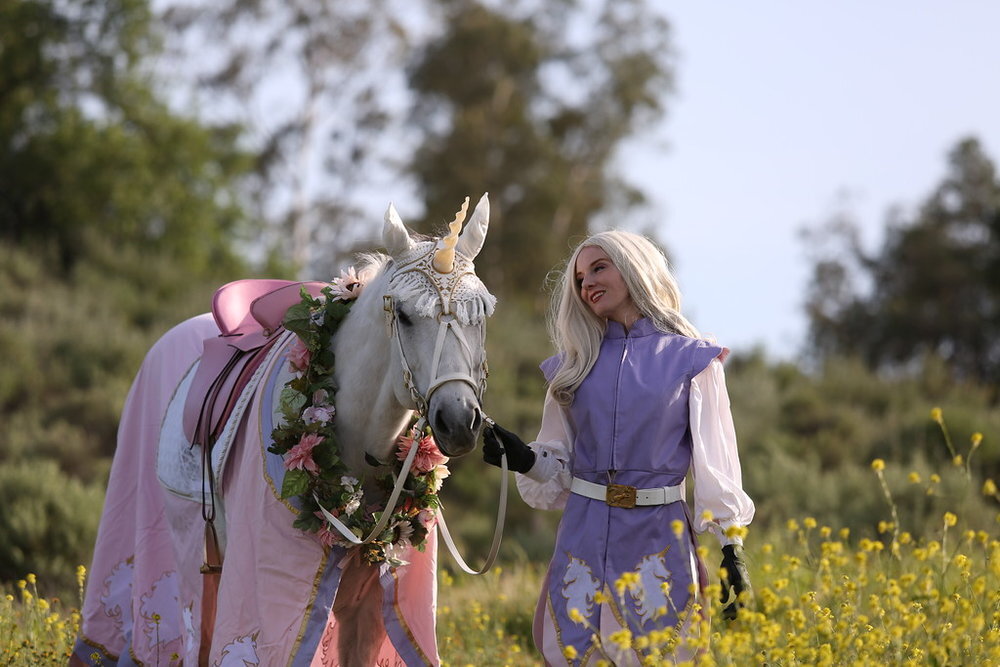 Virginia Hankins pink purple woman knight lady knight female knight medieval times Los Angeles Renee Robyn with white unicorn 4.jpg