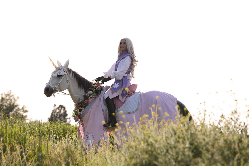 Virginia Hankins pink purple woman knight lady knight female knight medieval times Los Angeles Renee Robyn with white unicorn 5.jpg