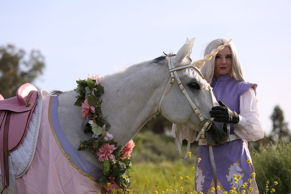 Virginia Hankins pink purple woman knight lady knight female knight medieval times Los Angeles - Renee Robyn with white unicorn.jpg