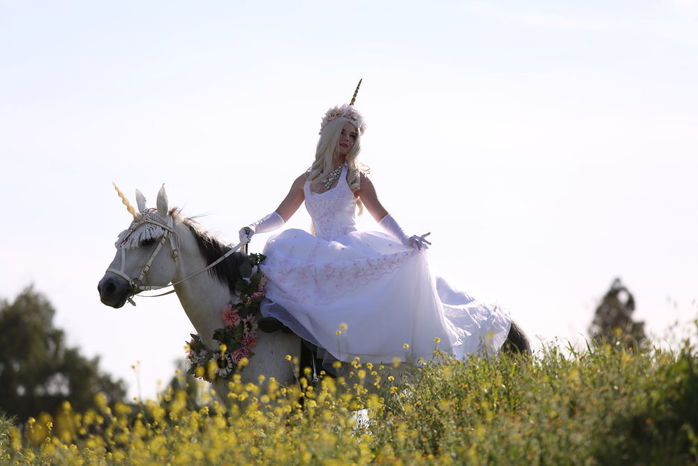Los+Angeles+Unicorn+Rental+-+Milo+the+Unicorn+and+Unicorn+Princess+Bride+Riding+Sidesaddle+6.jpg