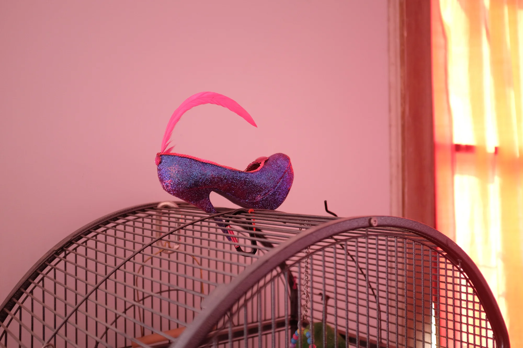 DSCF3687.jpg