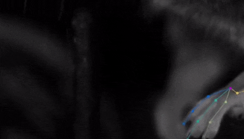 MousereachGIF.gif