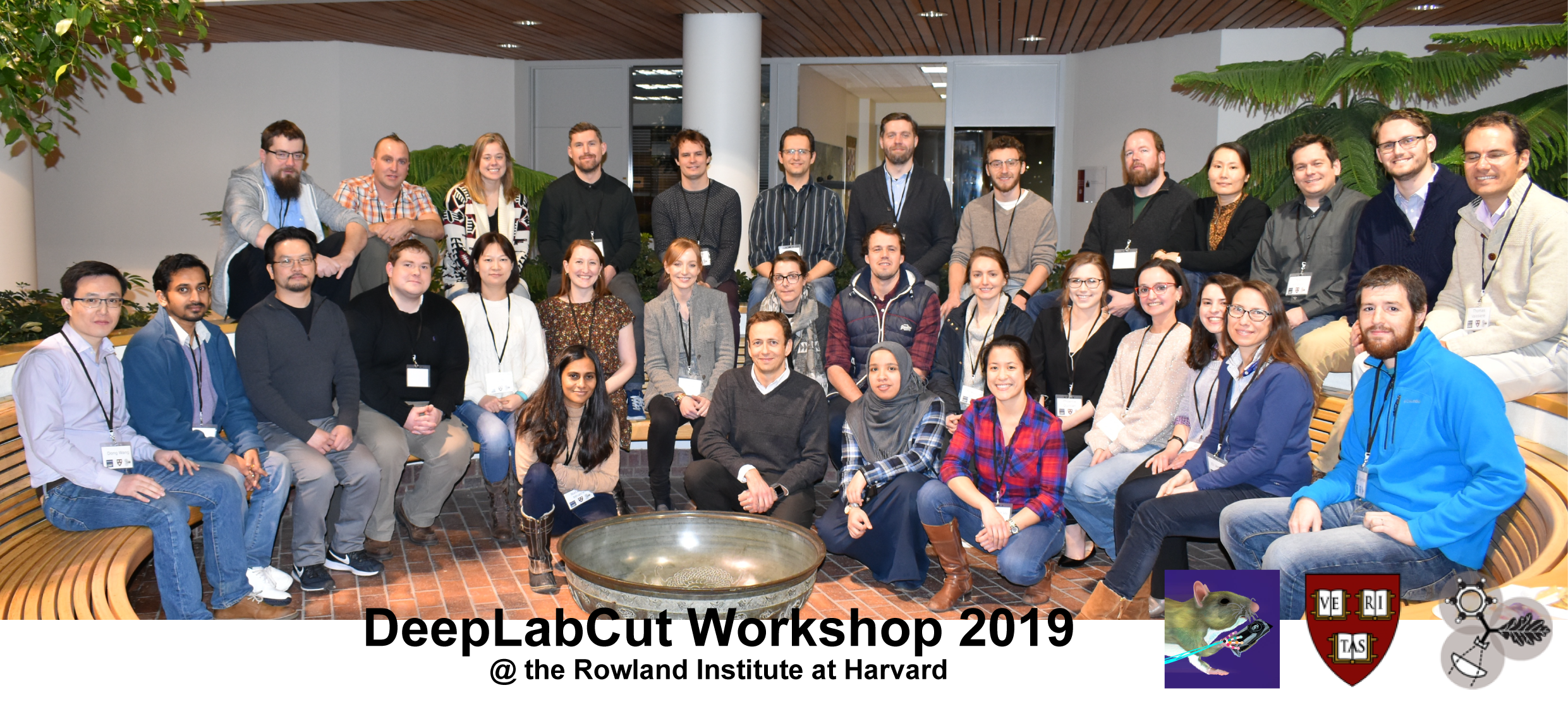 DLC_workshop2019-01.png