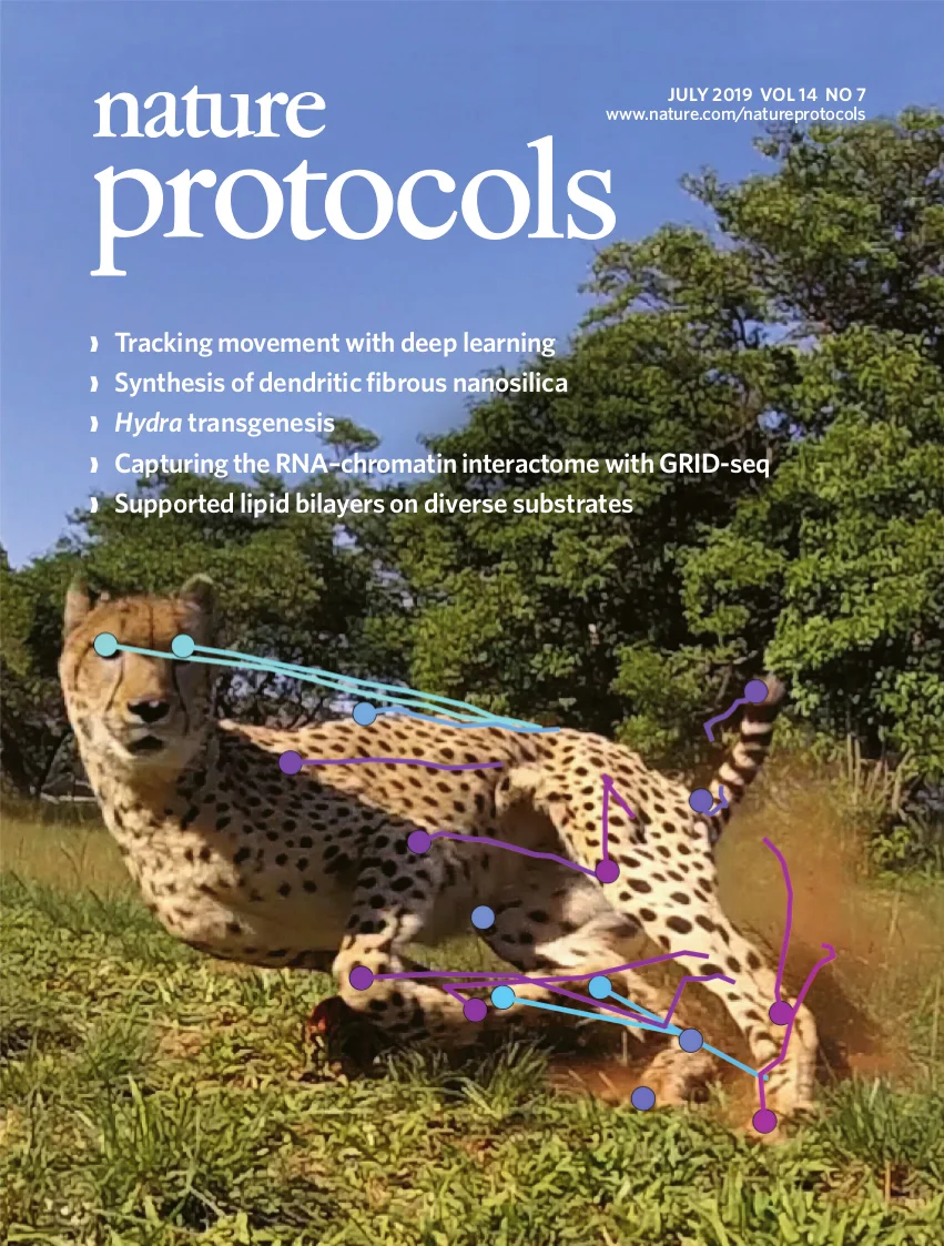 NProt_cover_JUL19_print (1).jpg