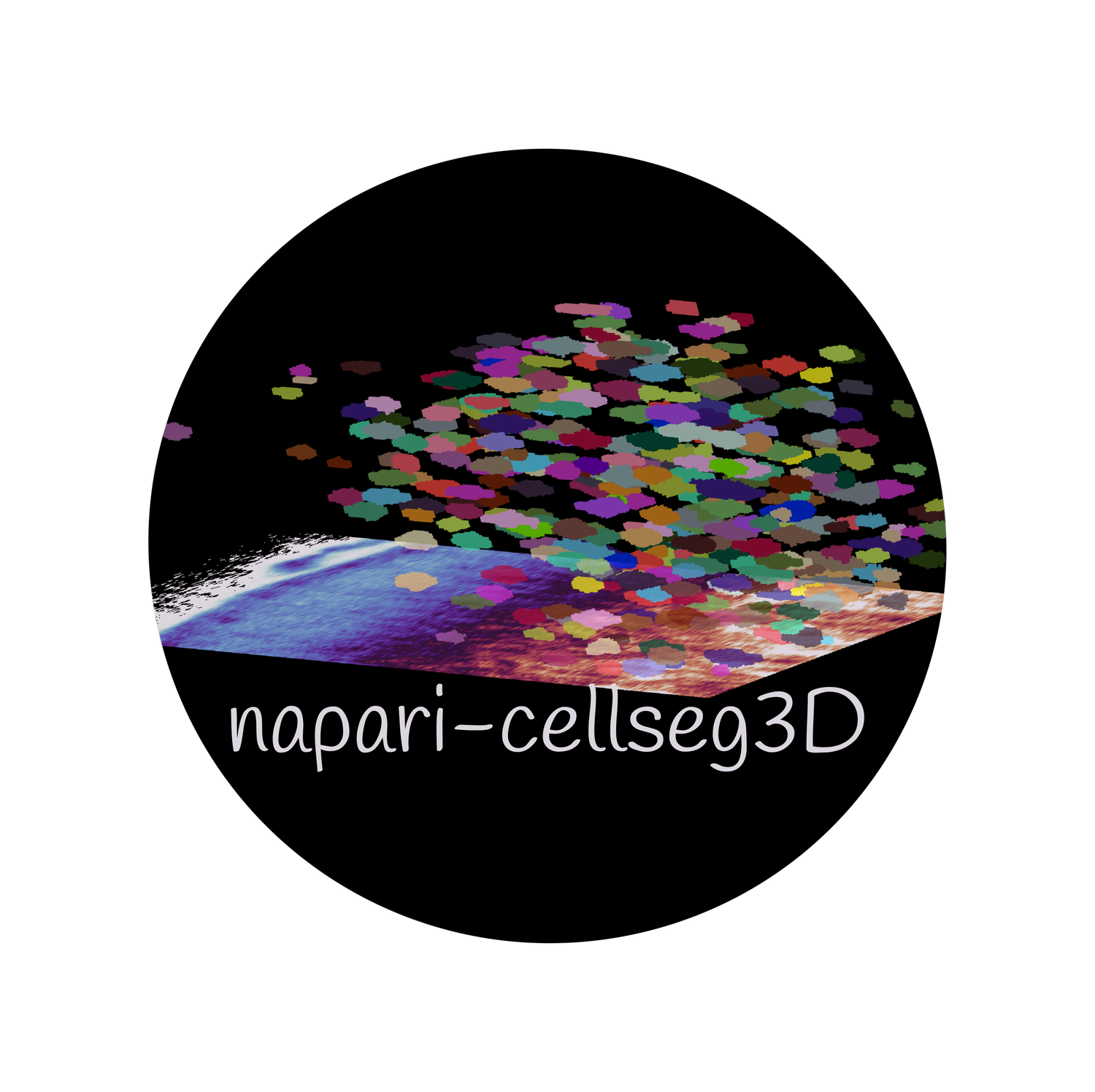 cellseg3d logo
