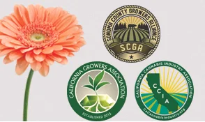 Proud member of the California Growers Association, Sonoma County Growers Alliance and the CCIA.