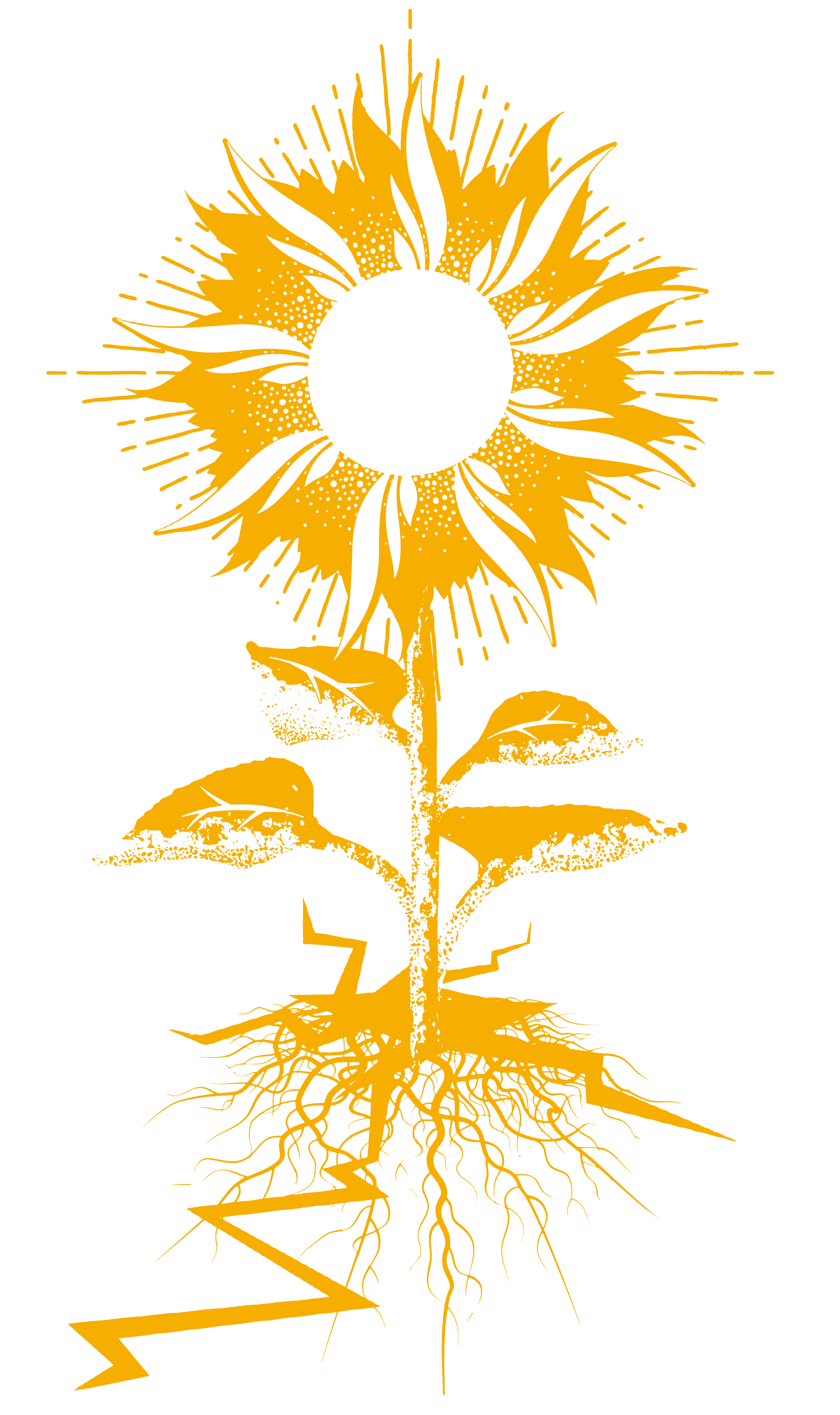 Sunflower MDB Final.png