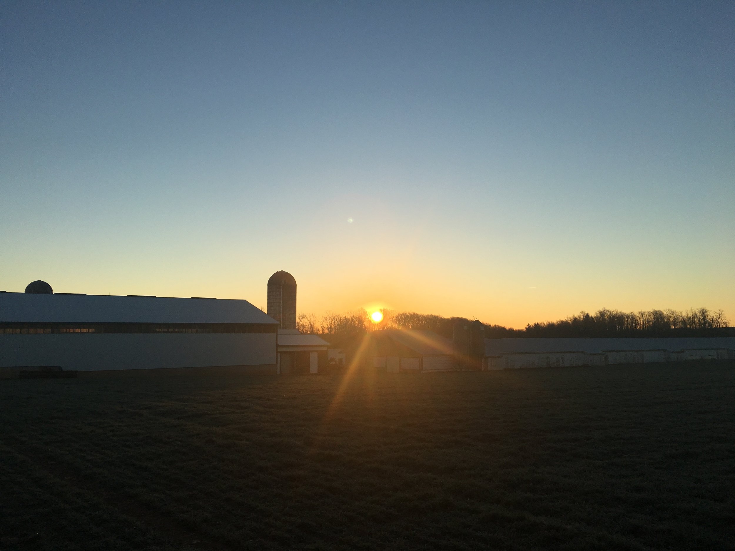 Sunrise at the Maplehofe Dairy Farm in Quarryville