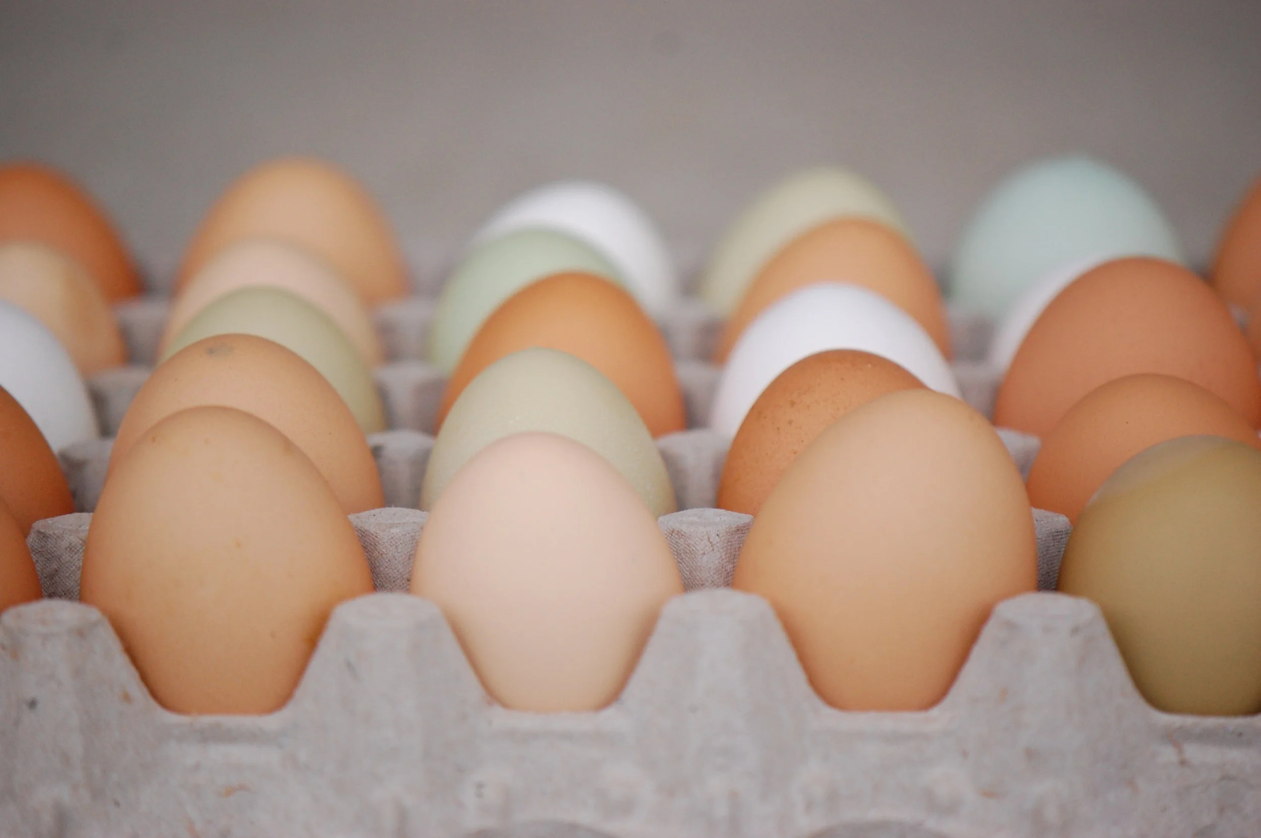 Can I Just Be Like A Good Ole Egg??