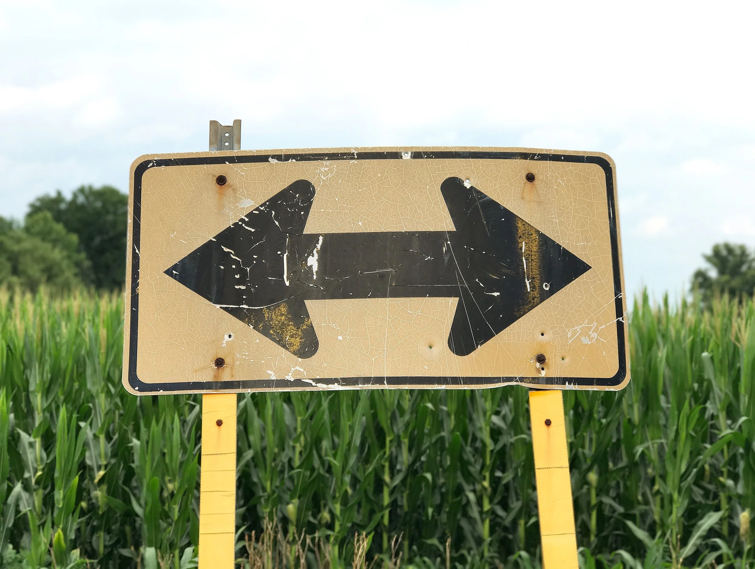 Which Way Do We Go, George?