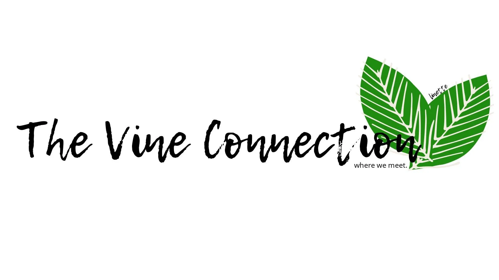 The Vine Connection Header.jpg