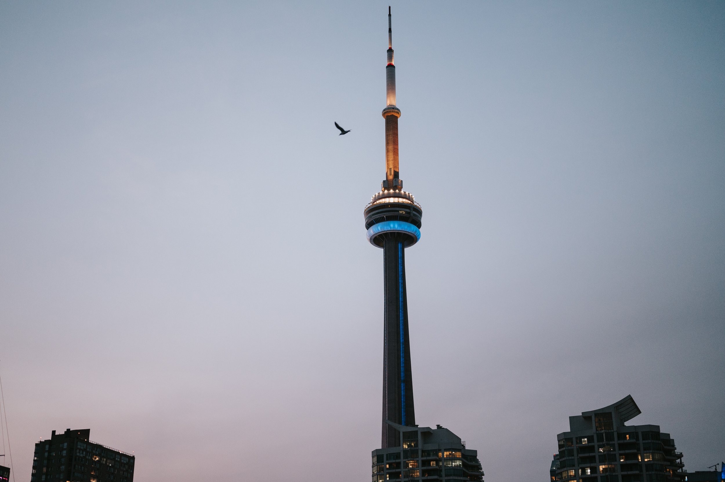 Toronto-island-engagement-session24.jpg