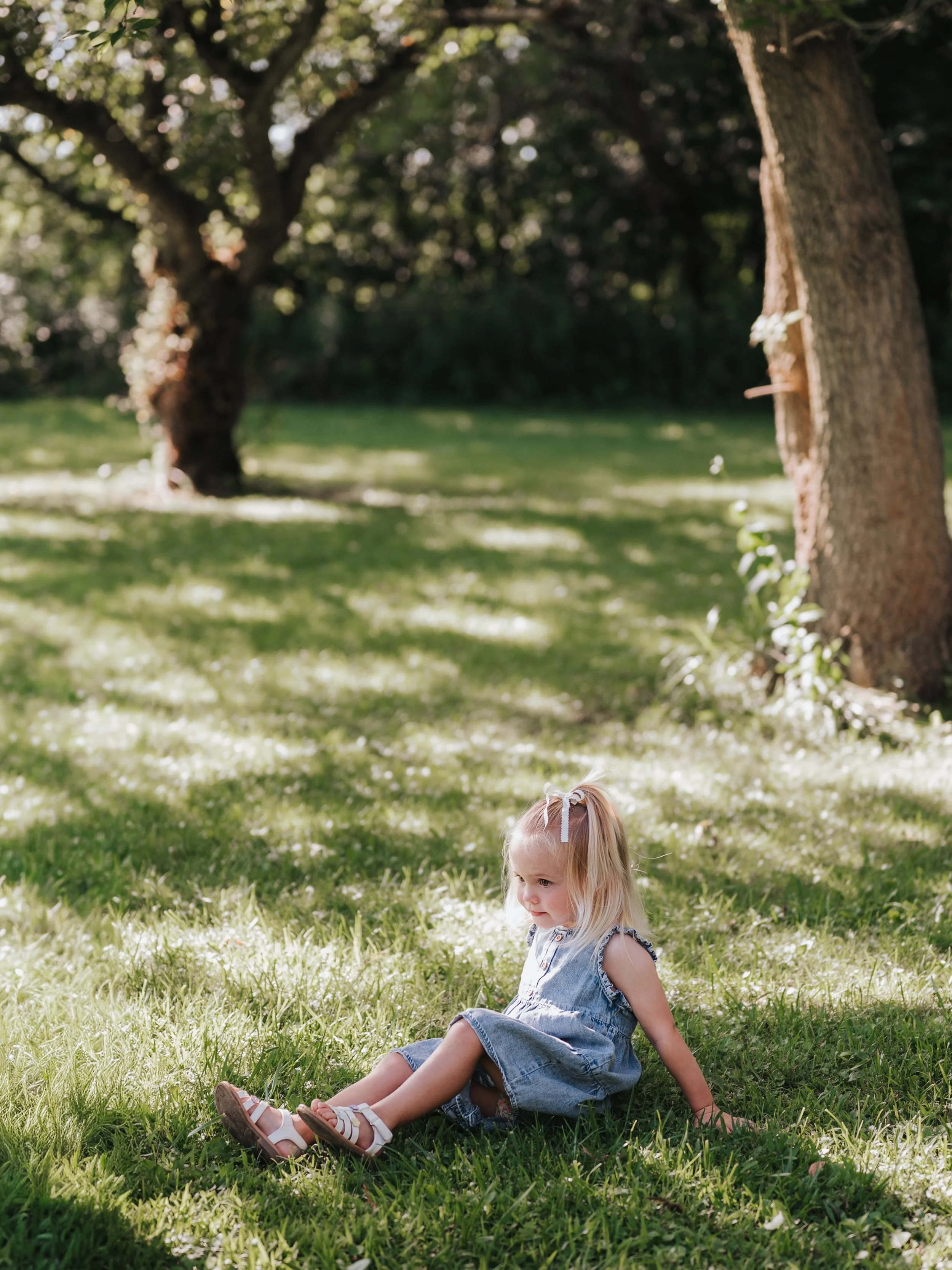 When you only 2, running around grandma and grandpa&rsquo;s backyard can make for the perfect family photo location. Nostalgic, comfortable and relaxed.