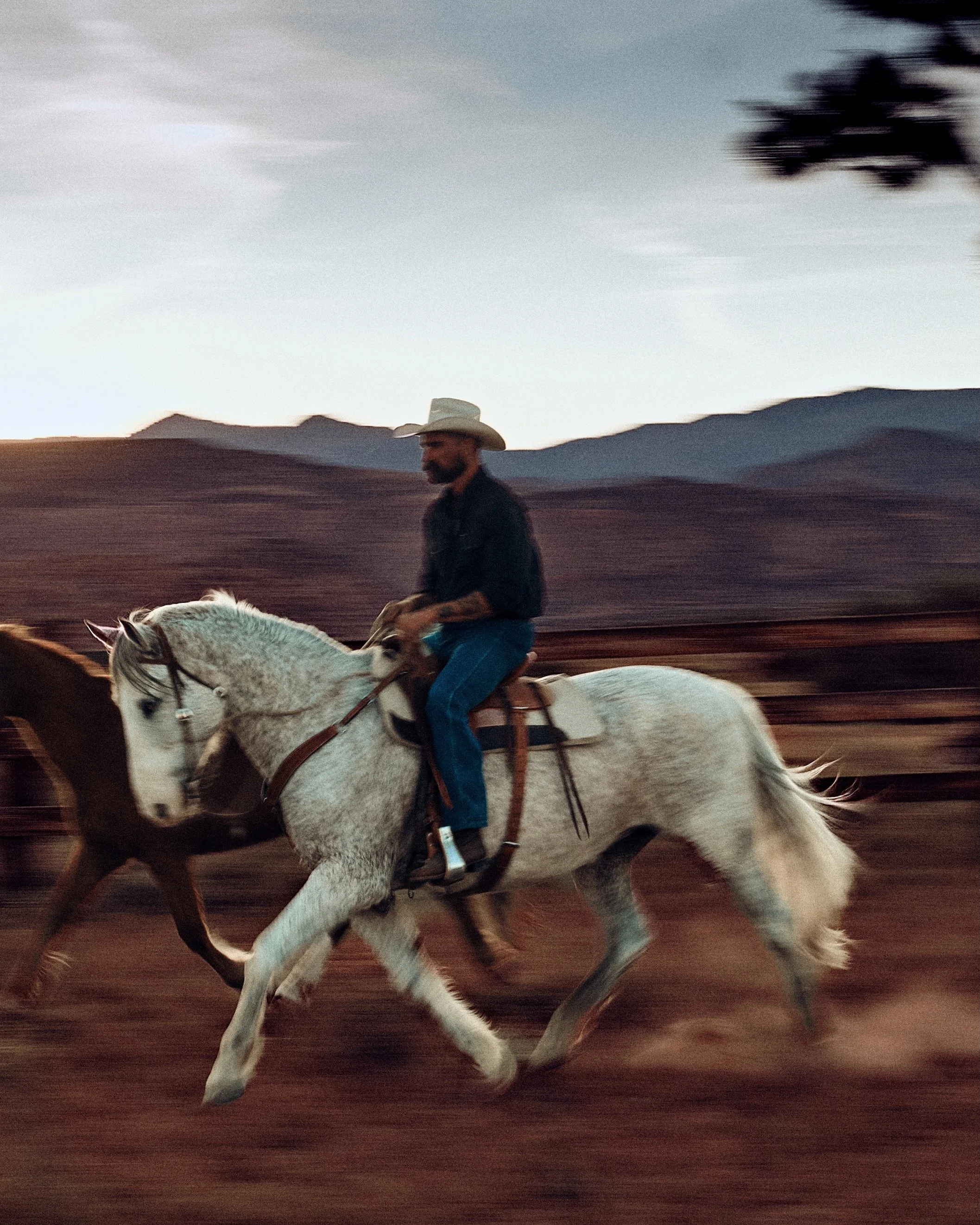 2026_HighDesert_Tecovas_Gillett_Finals_GILL4127-Medium.jpeg