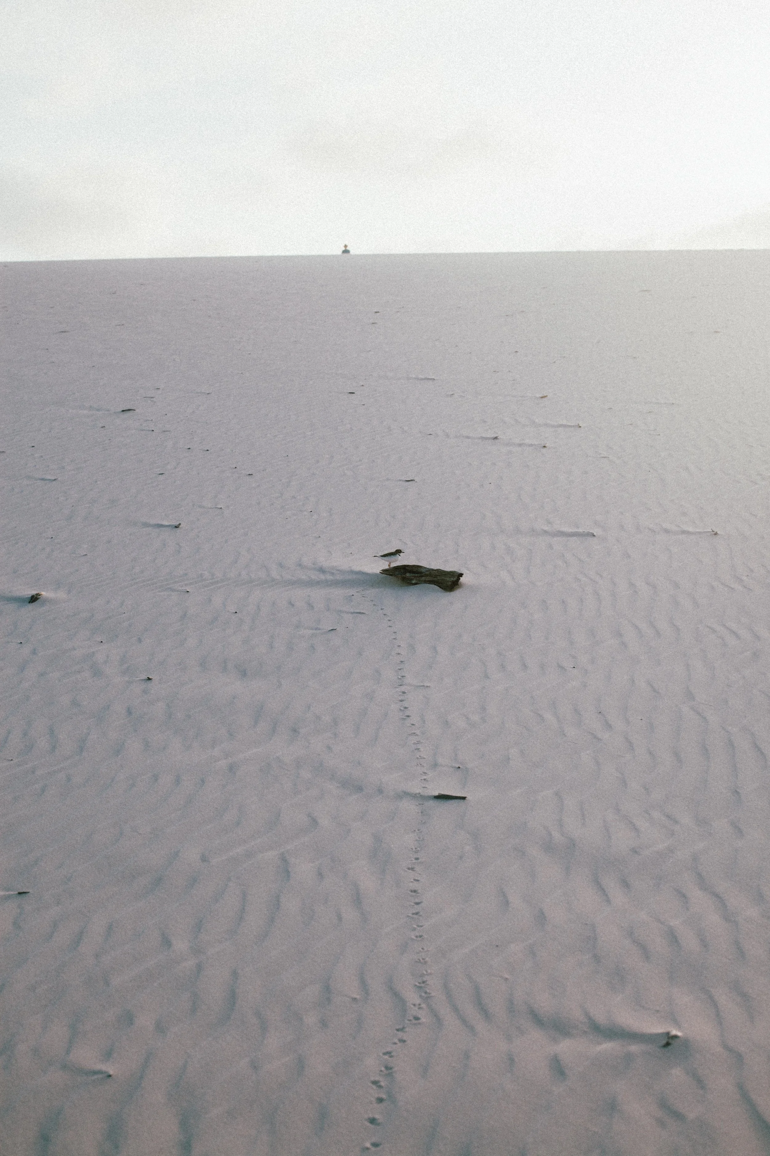 _MG_0813.jpg