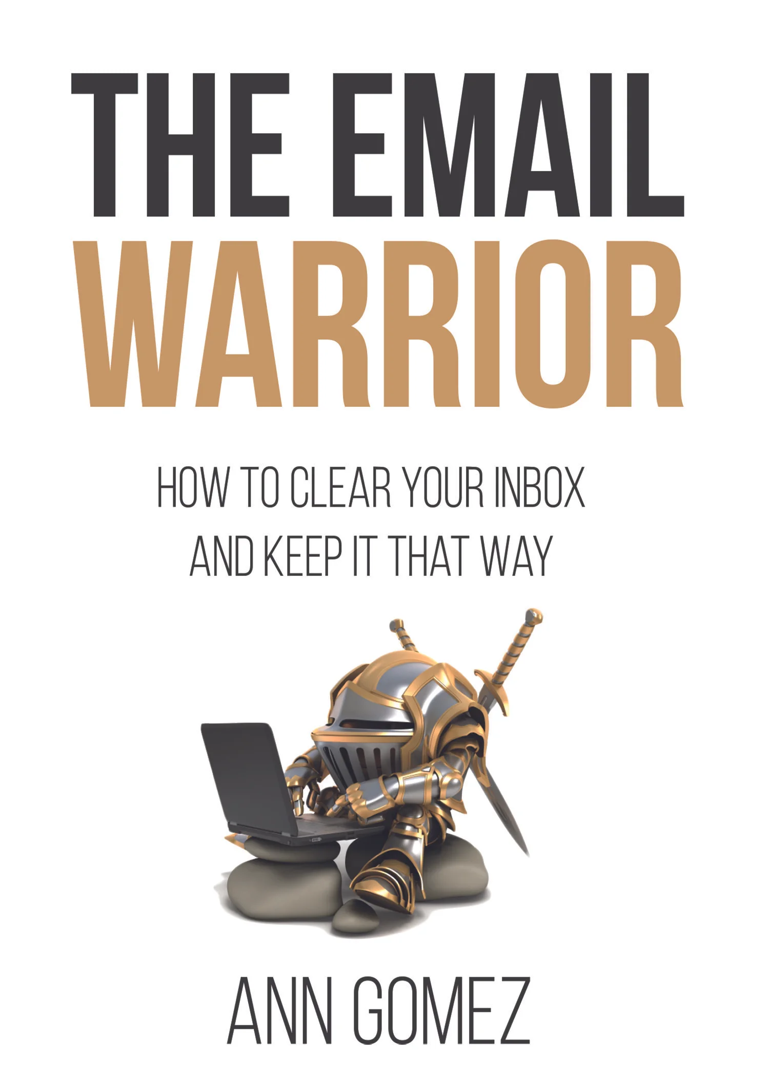 The Email Warrior by Ann Gomez, Published 2017