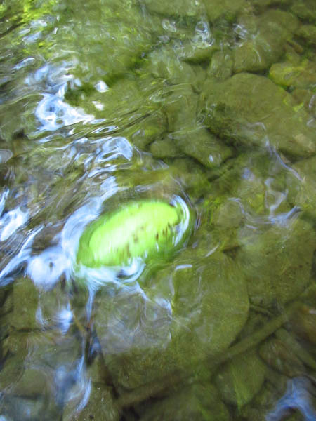 Floating a pawpaw downstream
