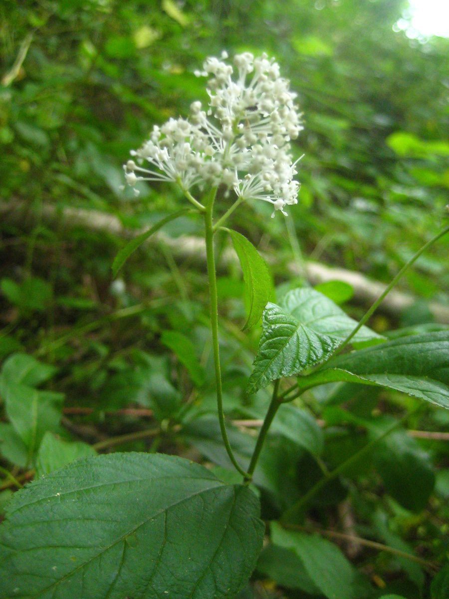 Along the Delaware River bluffs