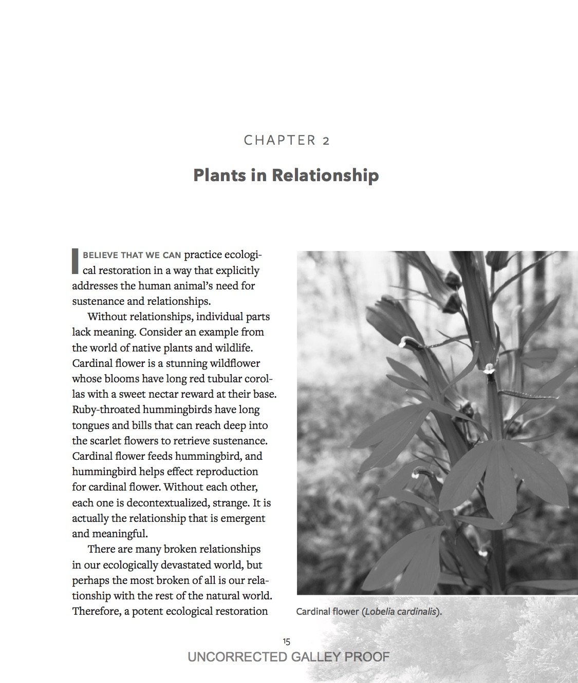 Wild Plant Culture galley proof May 25Cov (dragged) 4.jpeg