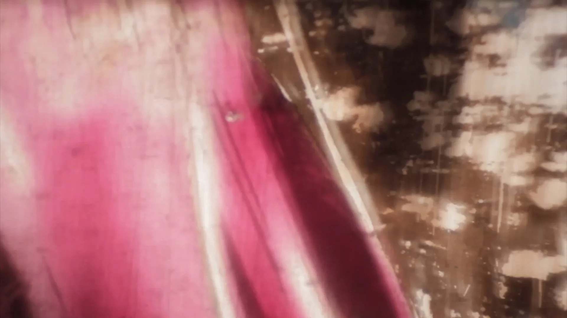 Trus_still-02.jpg