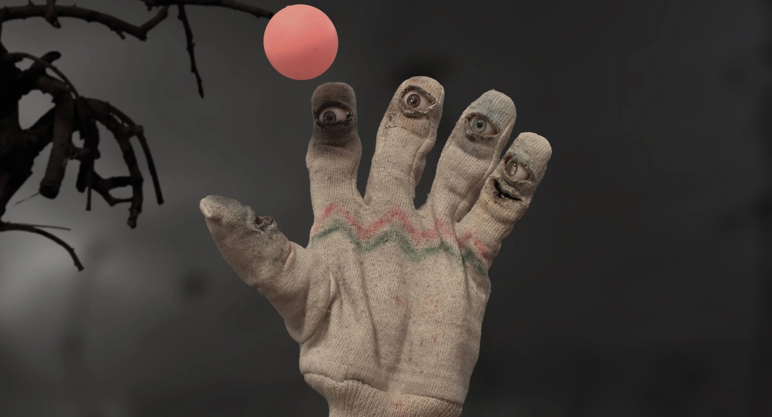 5REjZblE.jpeg