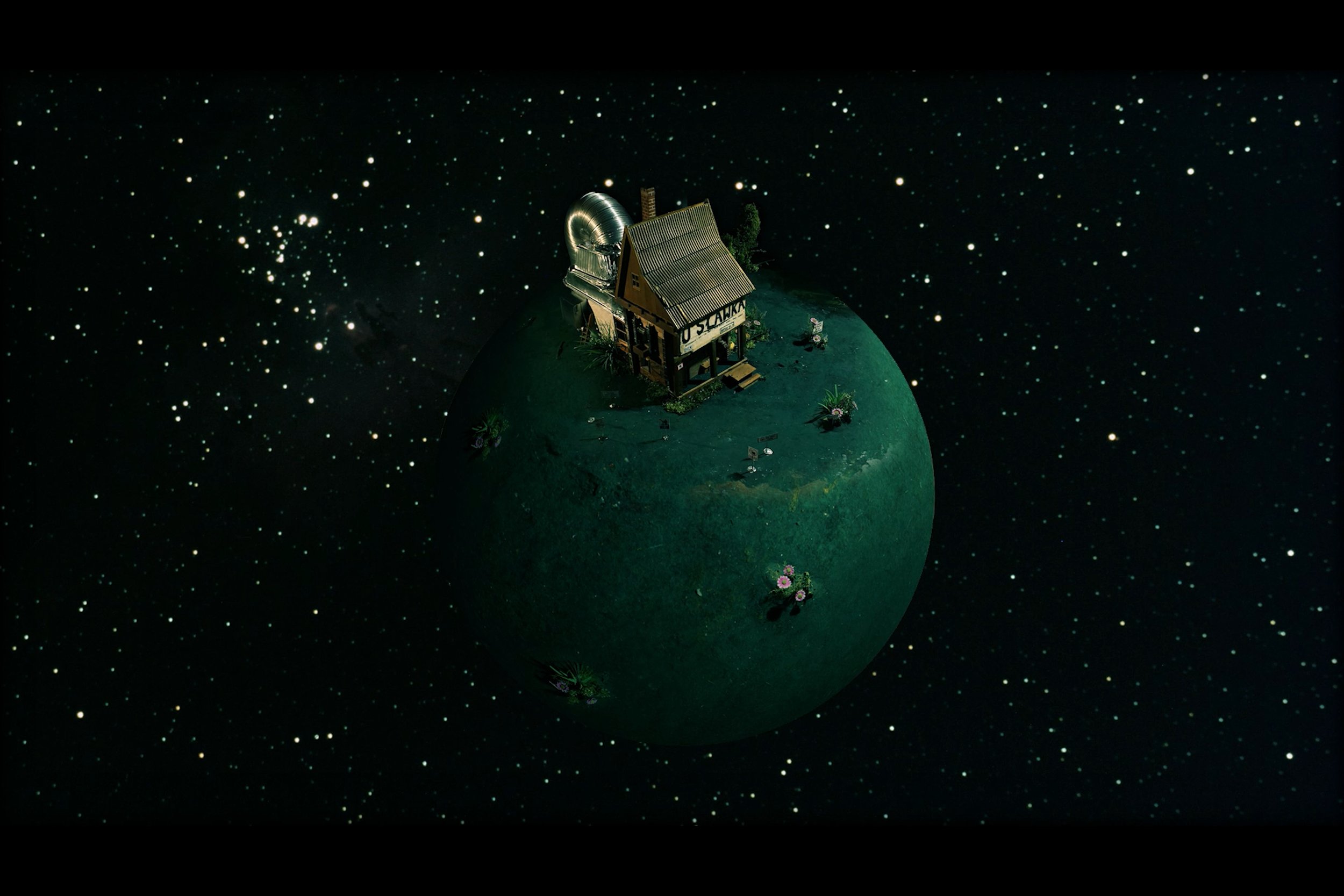 Pâté / Pasztet / Pašteta