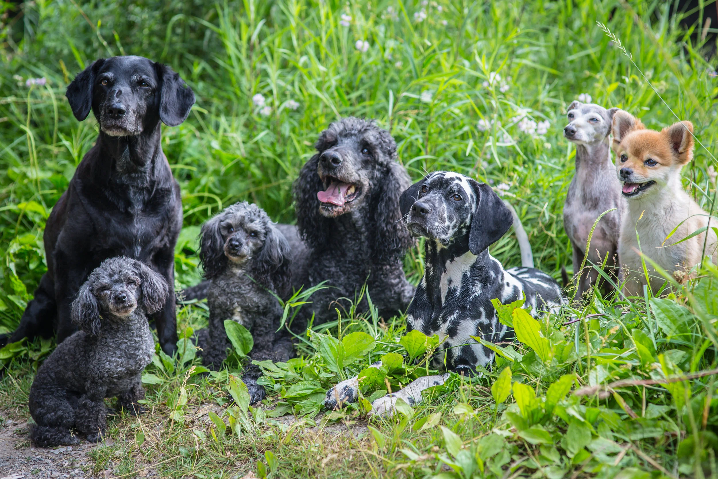 Family-3.jpg