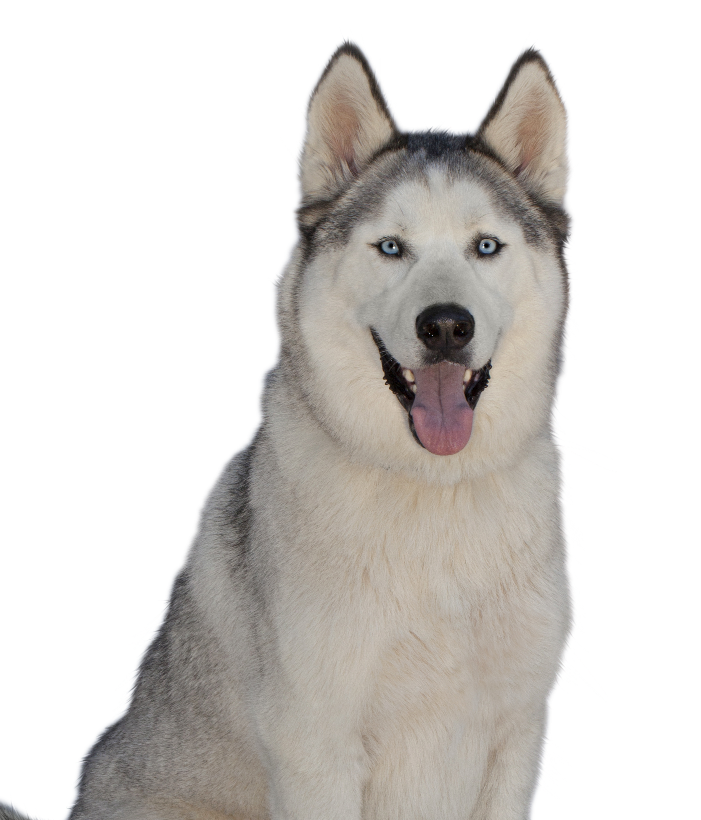 mason.png