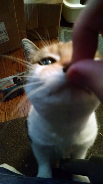 2016-03-01 13.48.59.jpeg