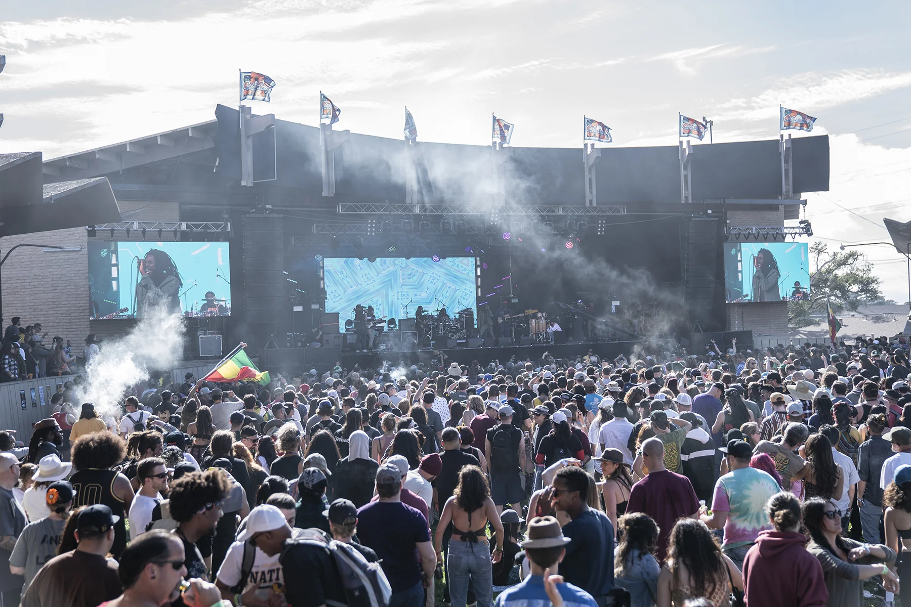DSC01557.jpg